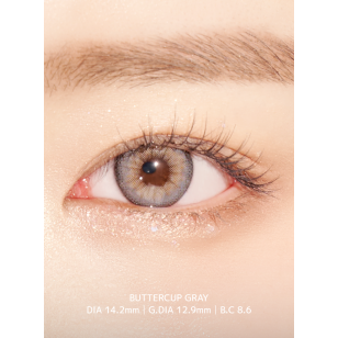  Ann365 1month – Butter Cup Gray椿日灰 月拋 2片裝